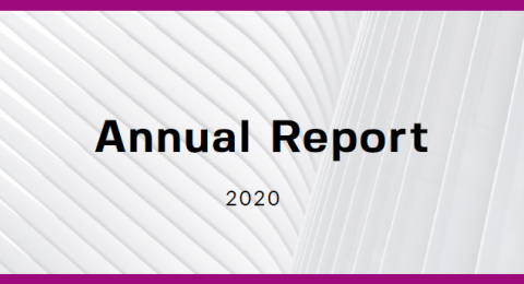 "Annual report 2020" on a grey background.