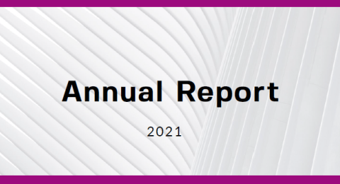"Annual report 2021" on a grey background.