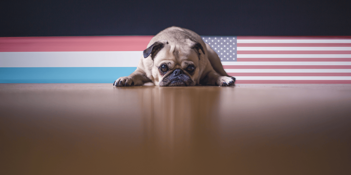 Pug_Flags